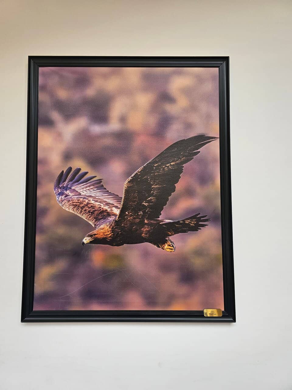 Panoramic Hilltop Views