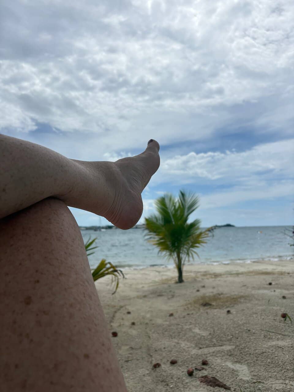 Tobago Blue Food Festival