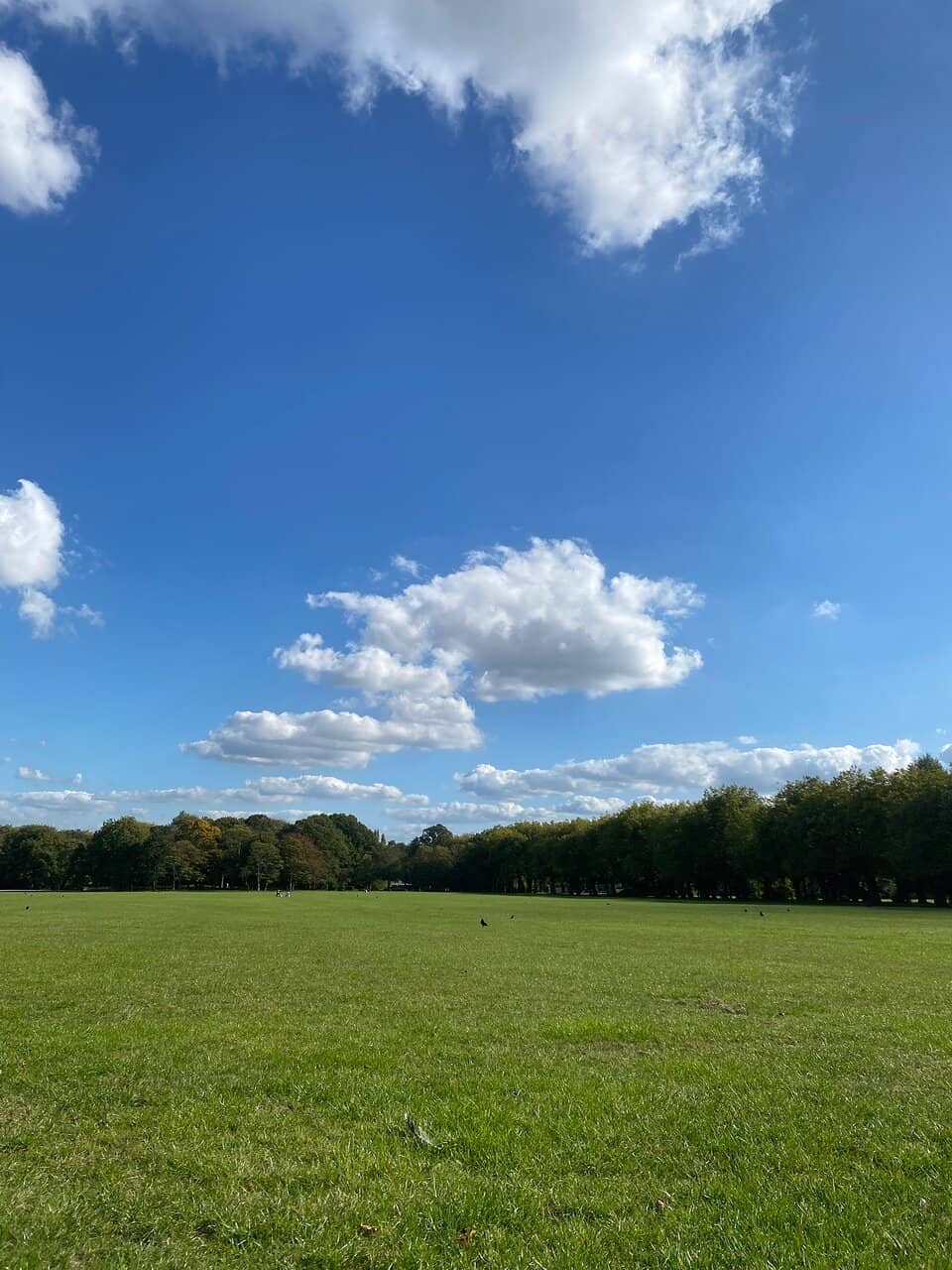 Sefton Park Palm House