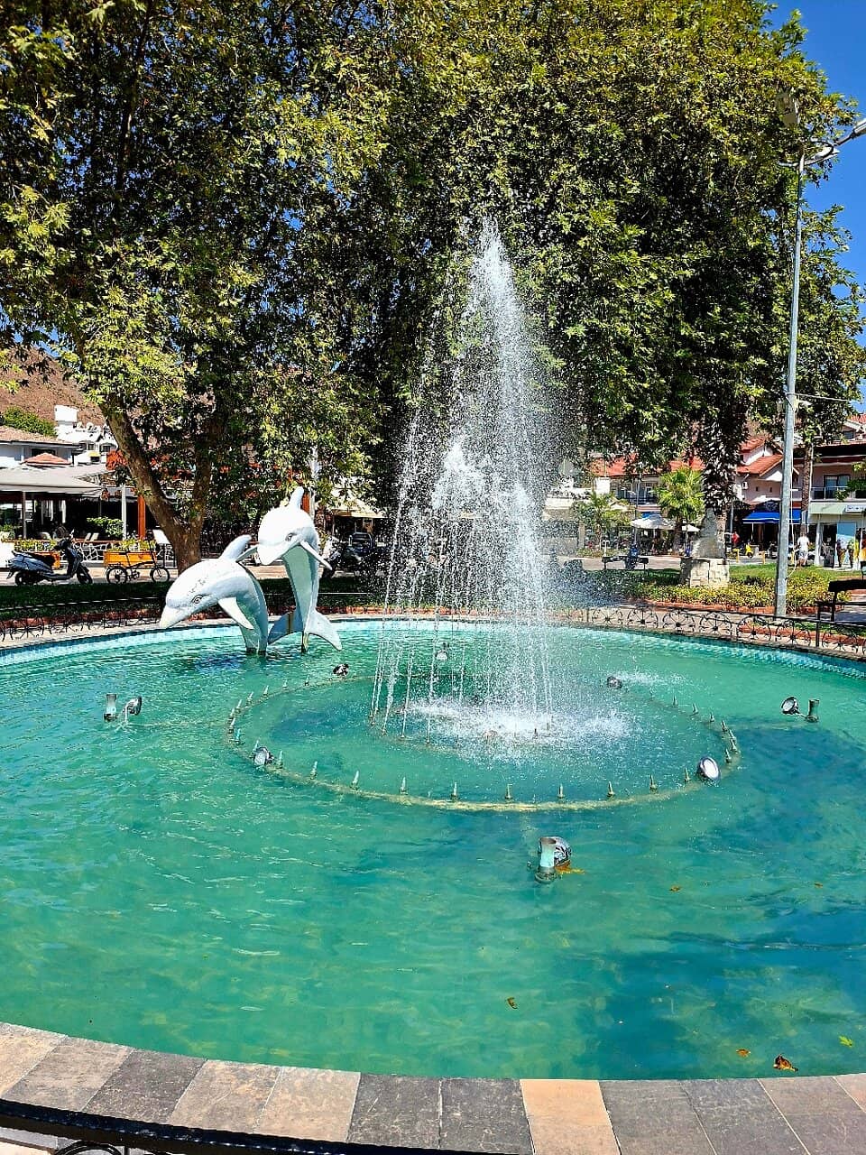 Relaxing Sunbed Options