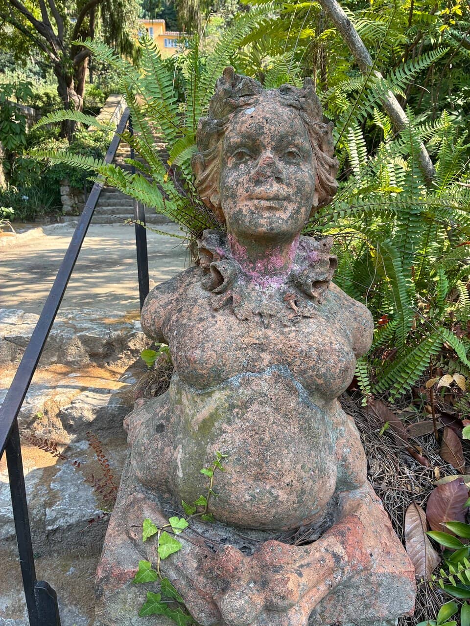 Rare Plant Collection