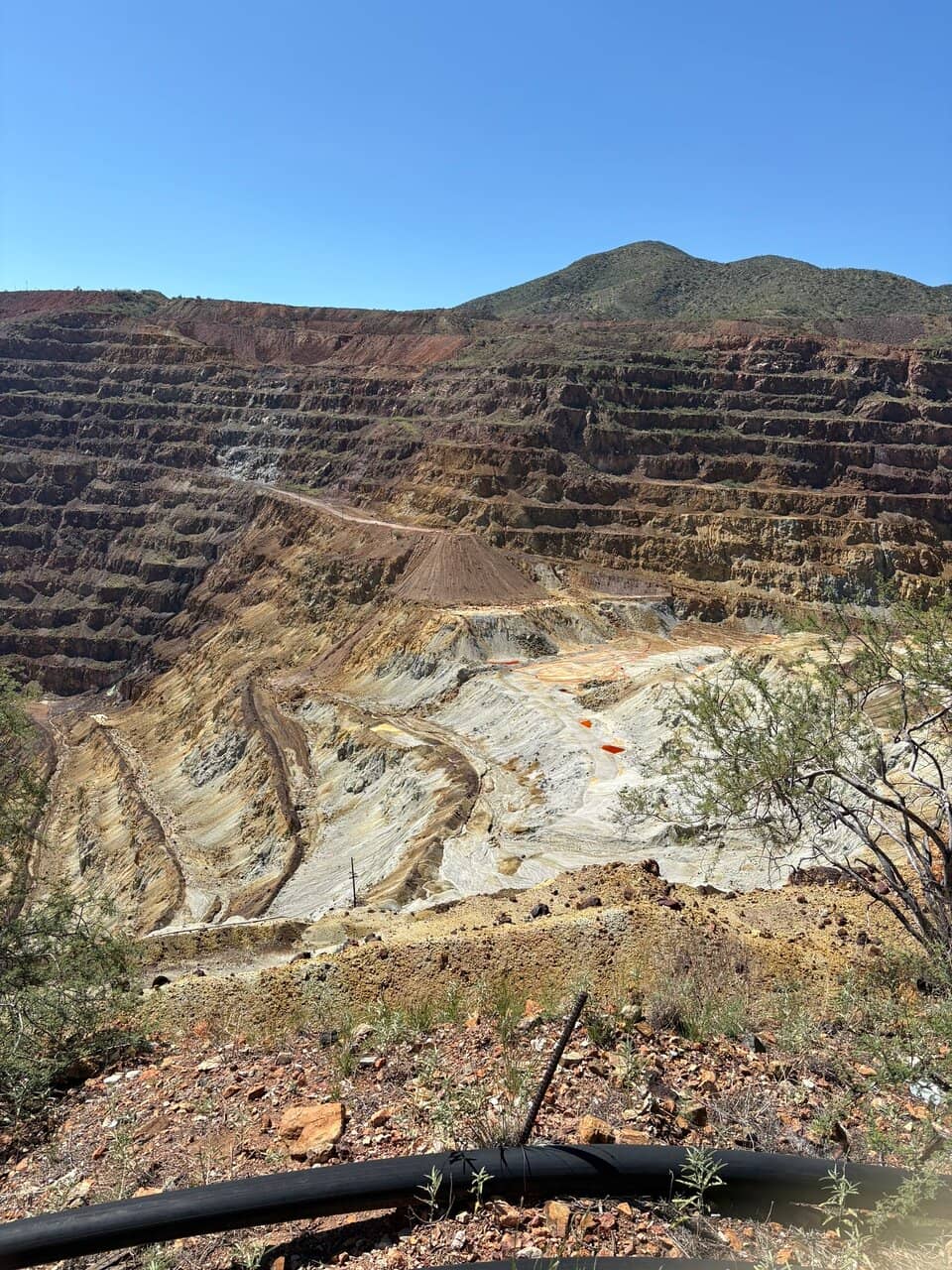 Unique Photo Opportunities