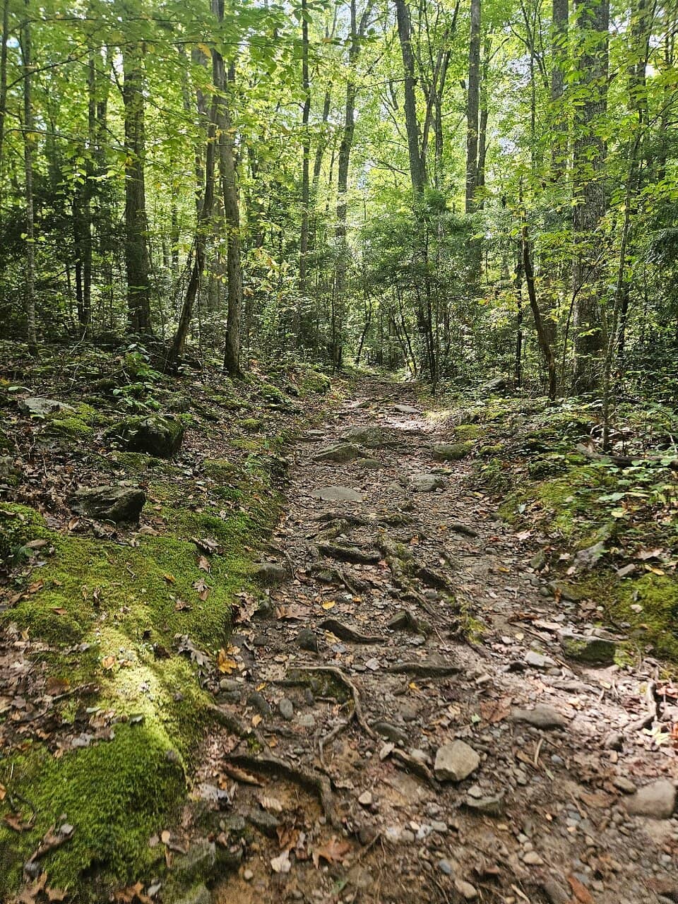 Gabes Mountain Trail