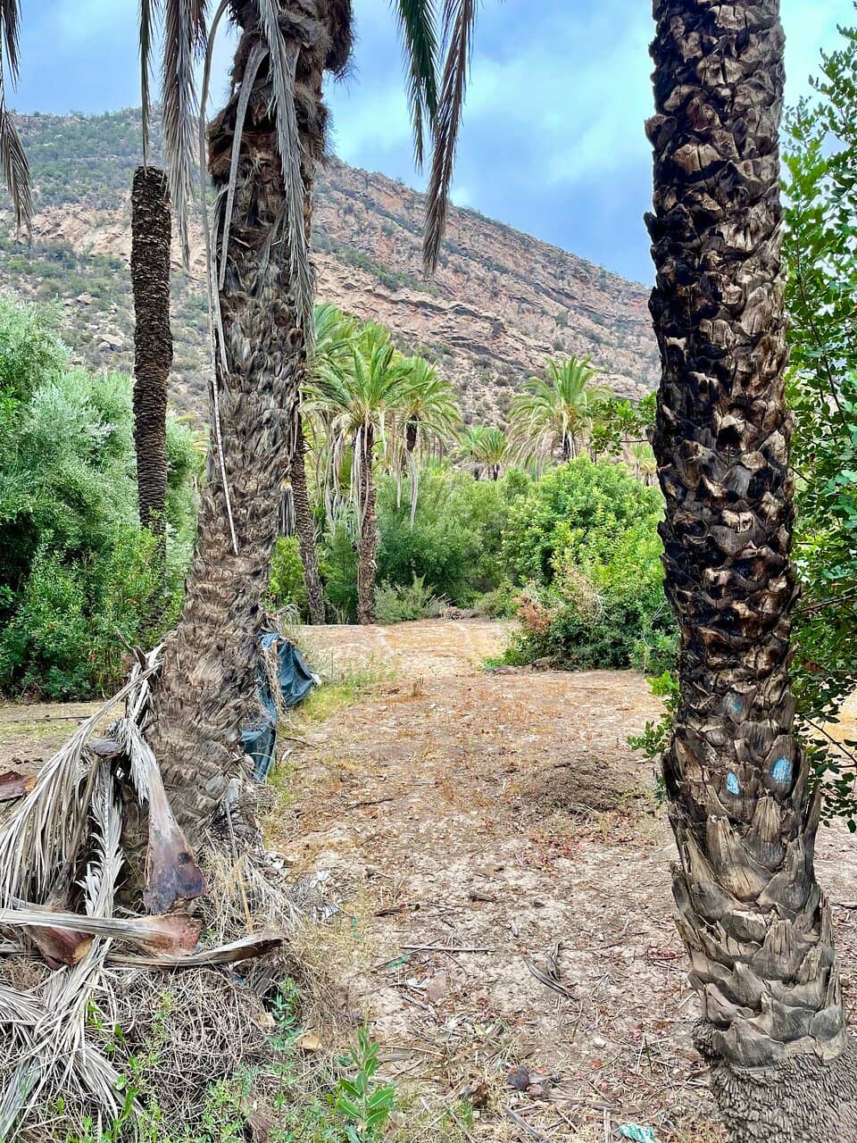 Paradise Valley Vistas