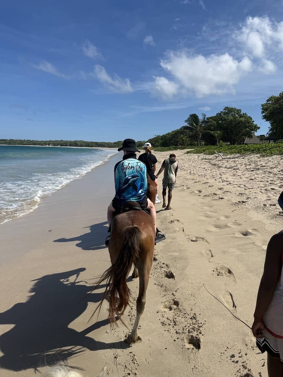 Local Massage Shelters