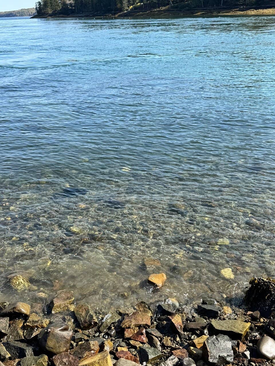 Vertical photo