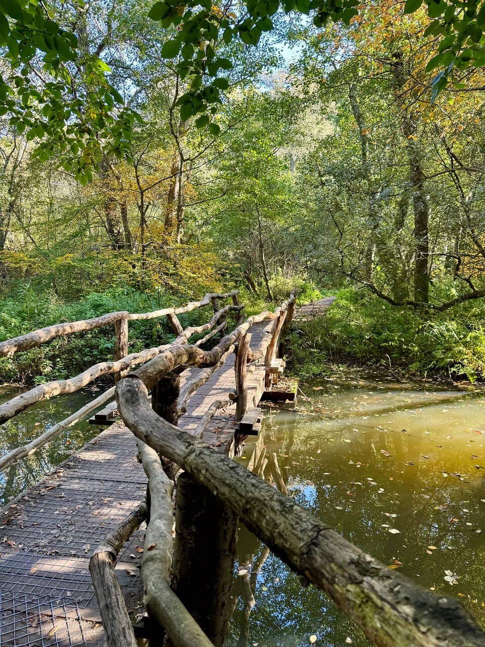 Capability Brown's Influence