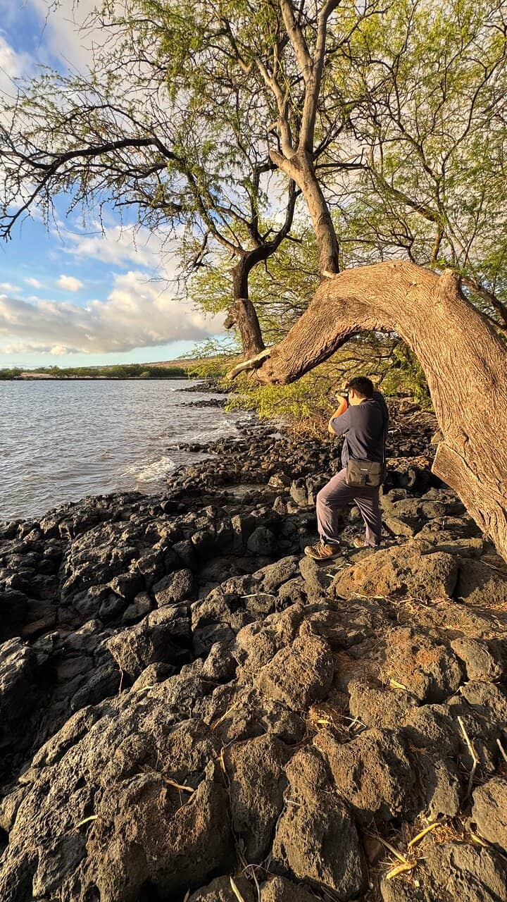 Vertical photo