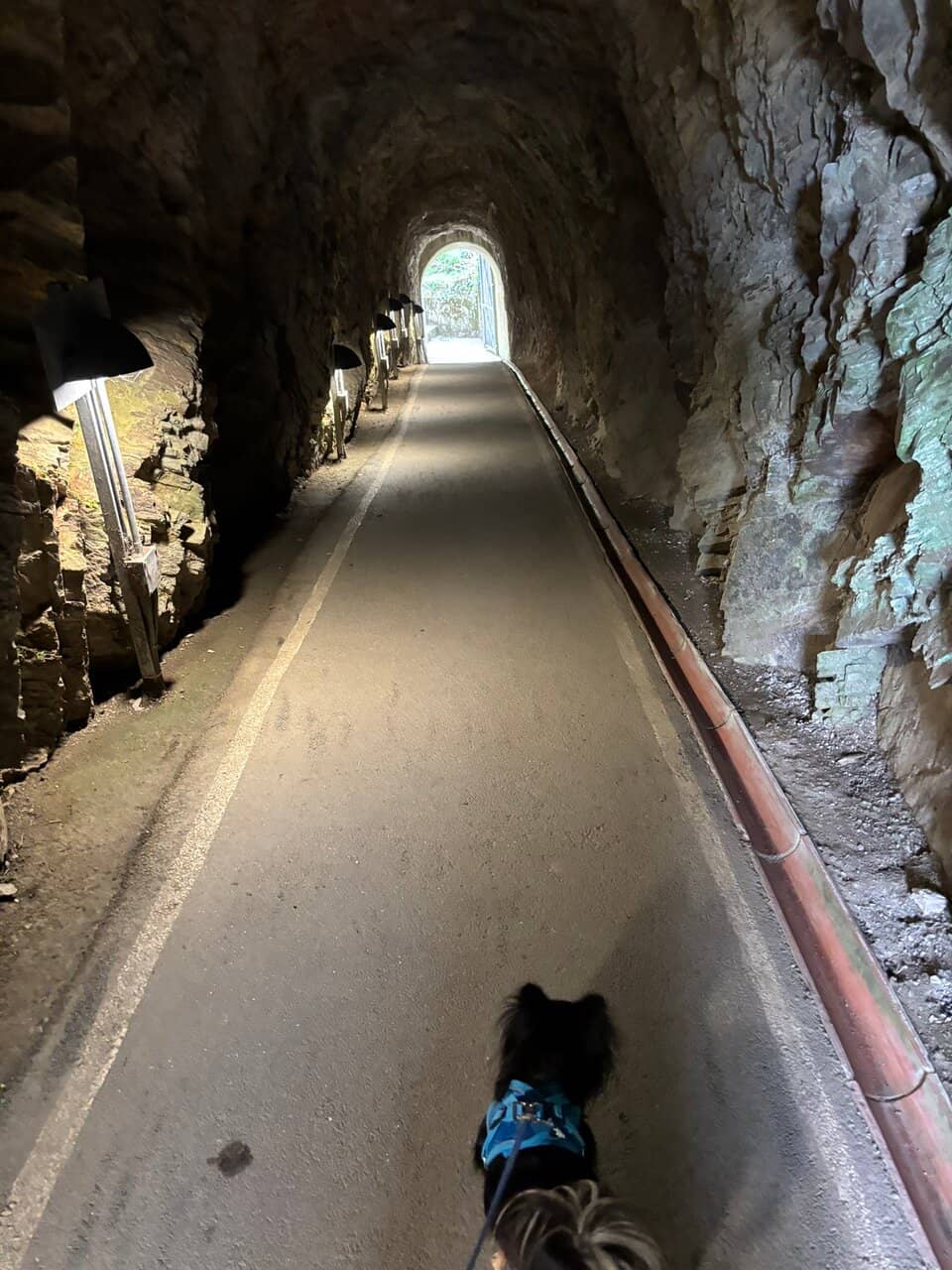 Interactive Exhibits