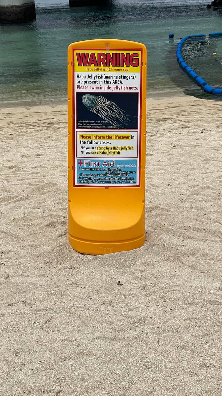 Food Trucks and Local Eats