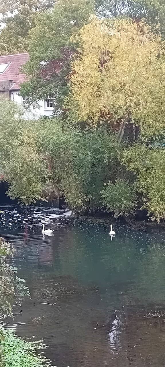 Grand Union Canal Path