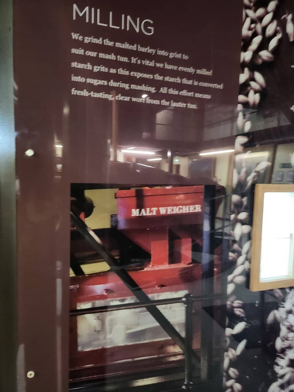 Whiskey Tasting Experience