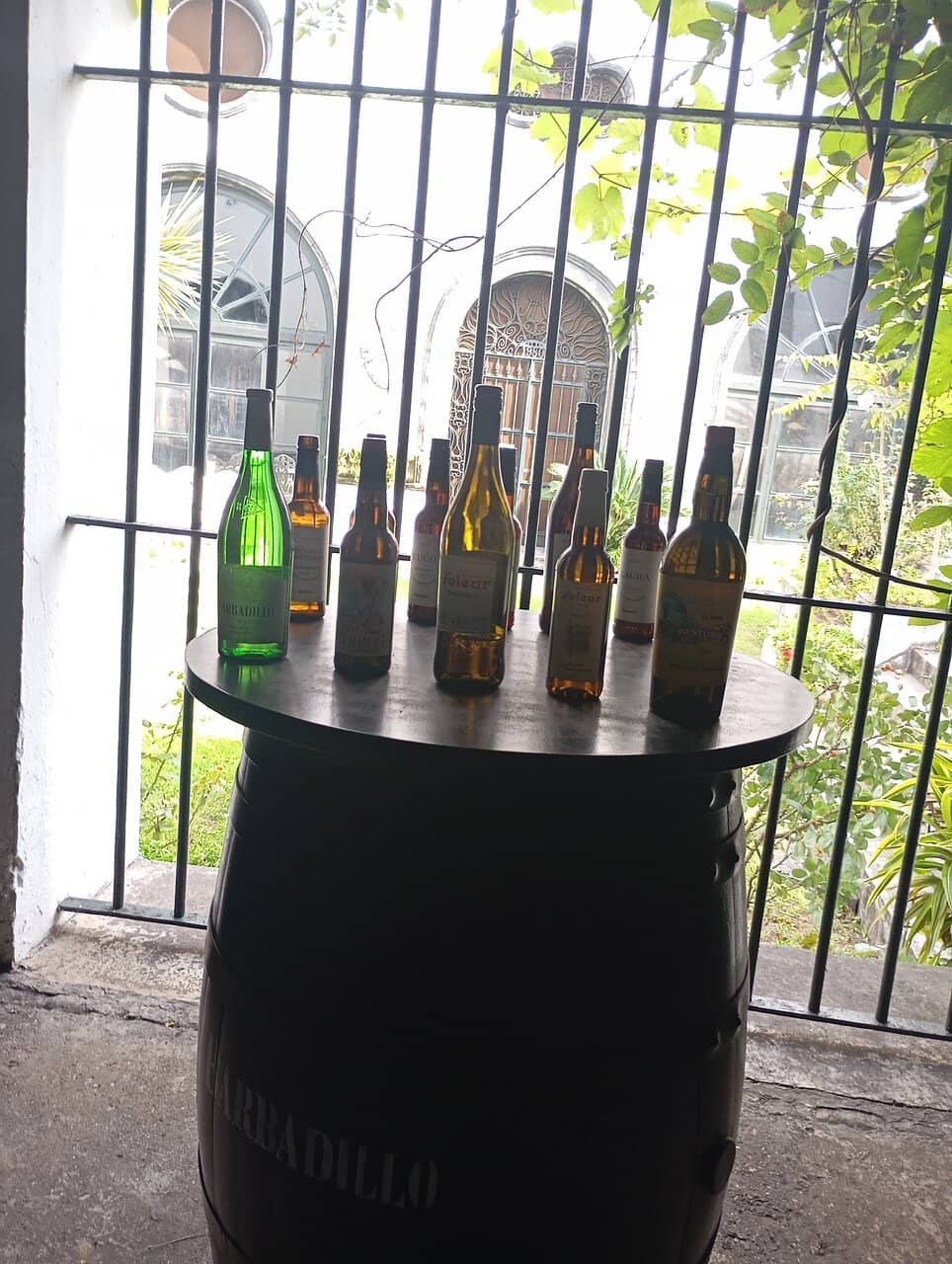 Biologically Aged Wines Tour