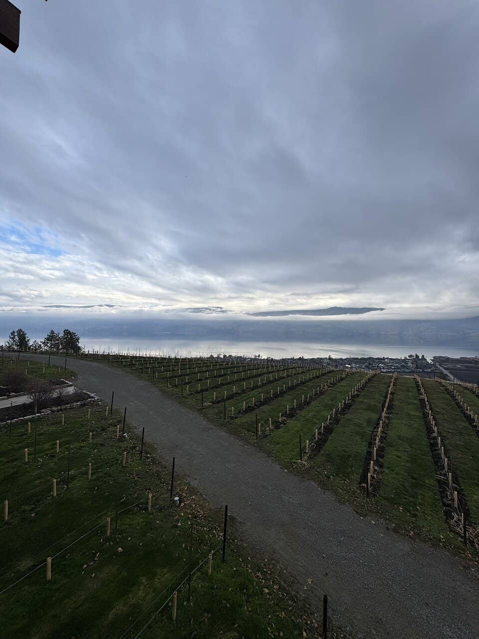 Oculus Tasting Experience