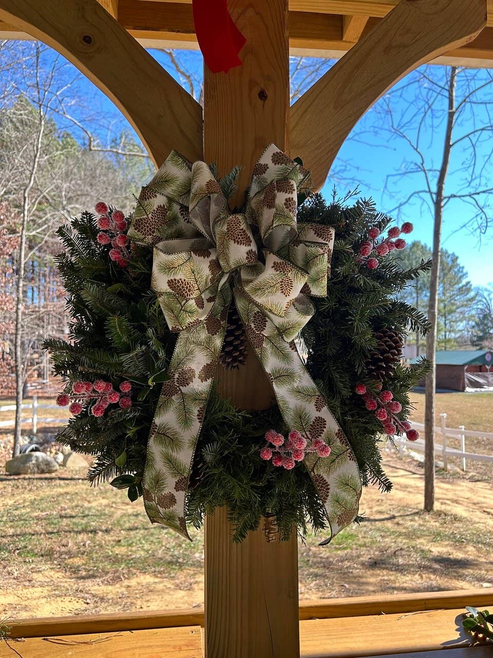 Adorable Highland Cows