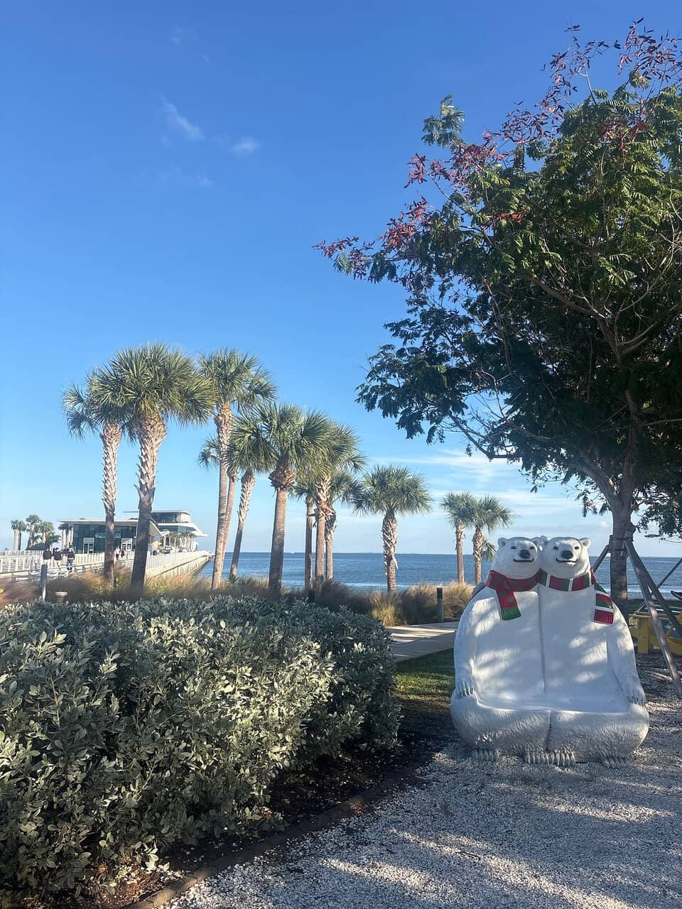 Tampa Bay Discovery Center