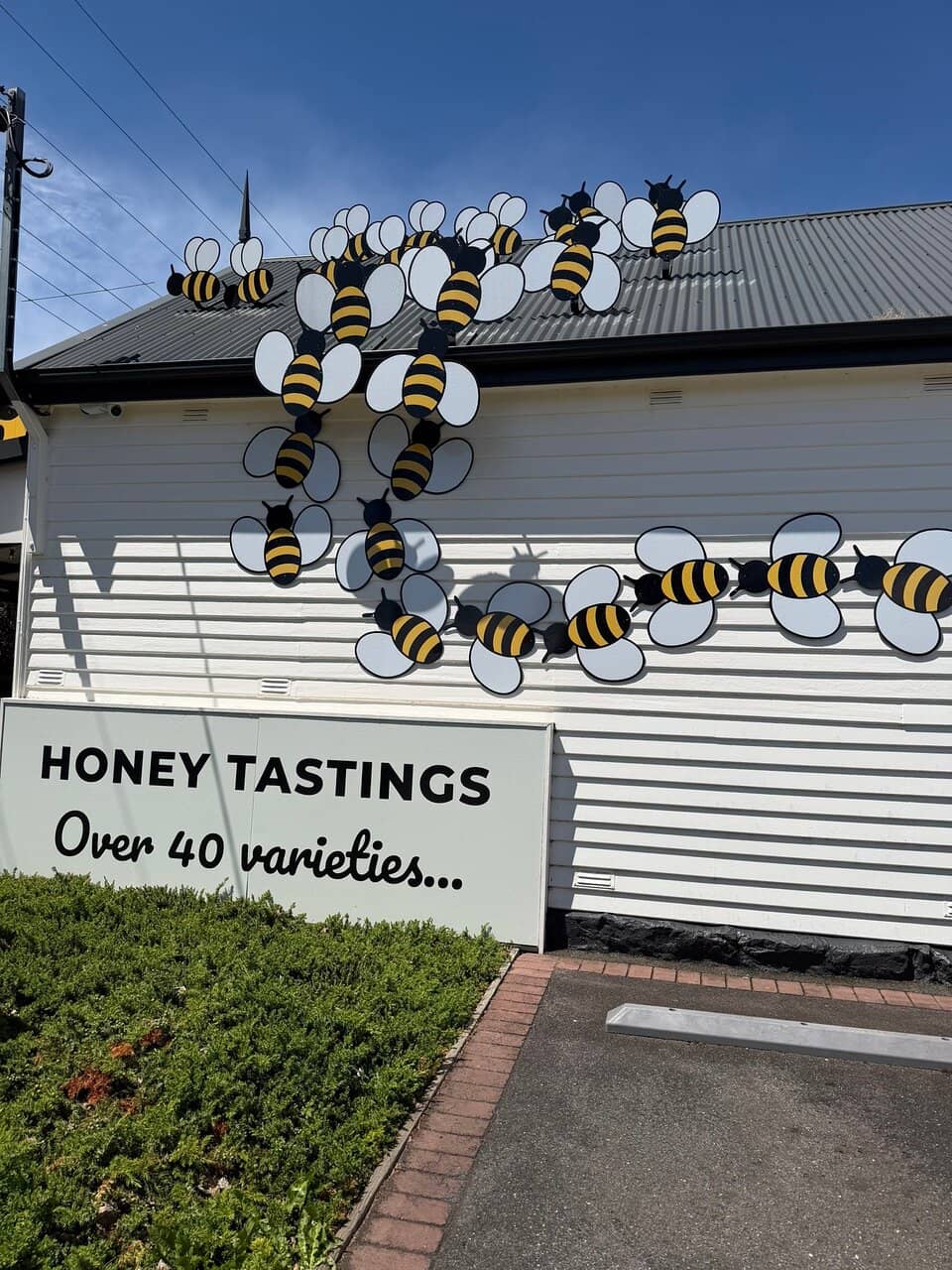 Unique Honey-Infused Products