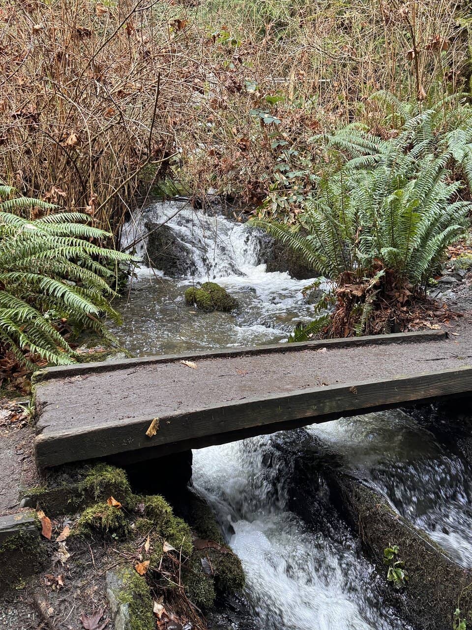 Migratory Bird Sanctuary