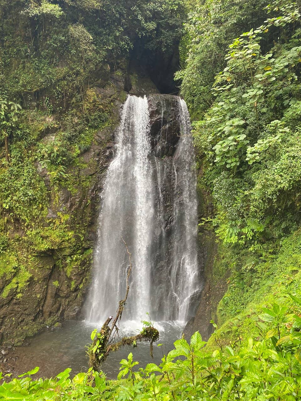 Nocturnal Wildlife Tour