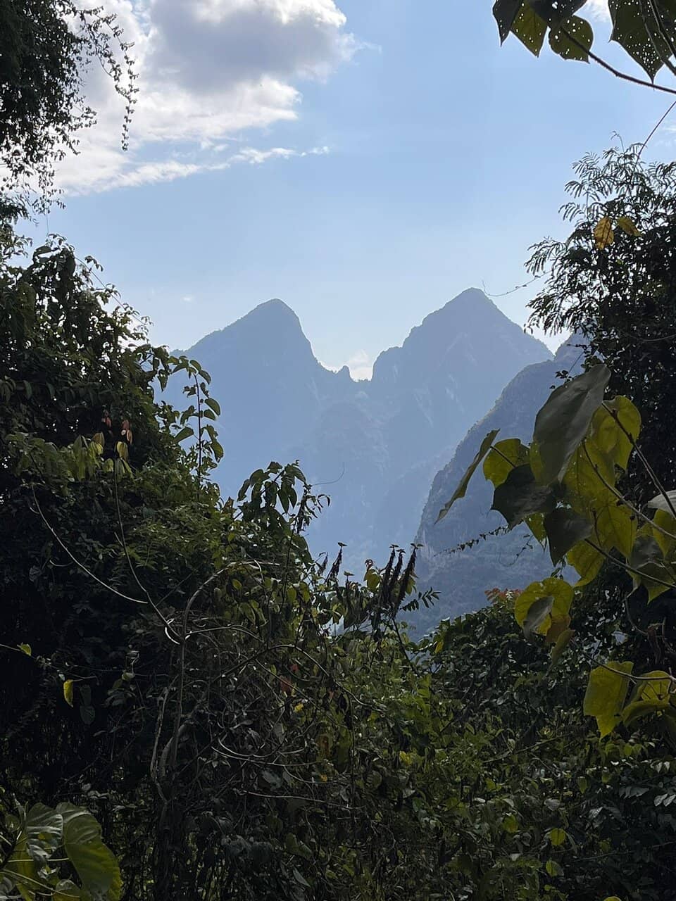 Vertical photo