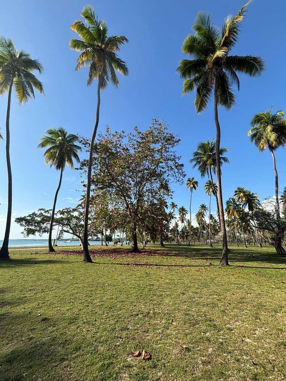 Local Eateries and 'Pinchos'