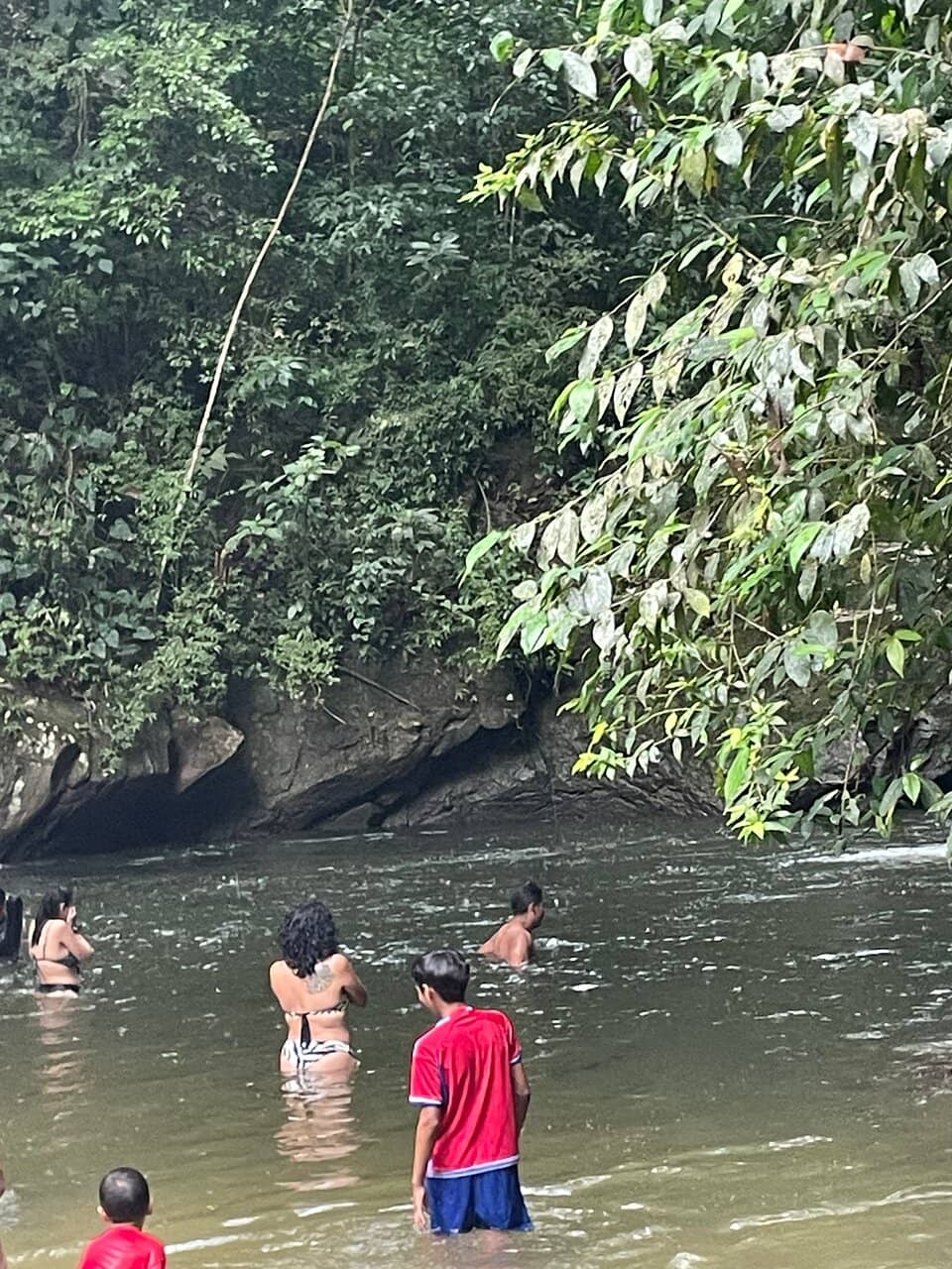 Lush Natural Surroundings