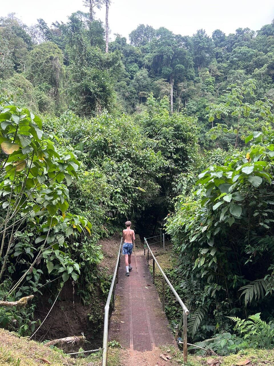 The Scenic Hike