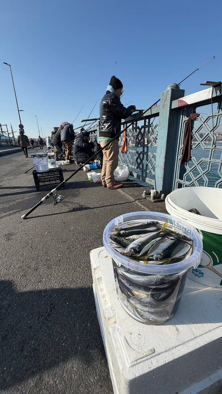 Fishermen's Row