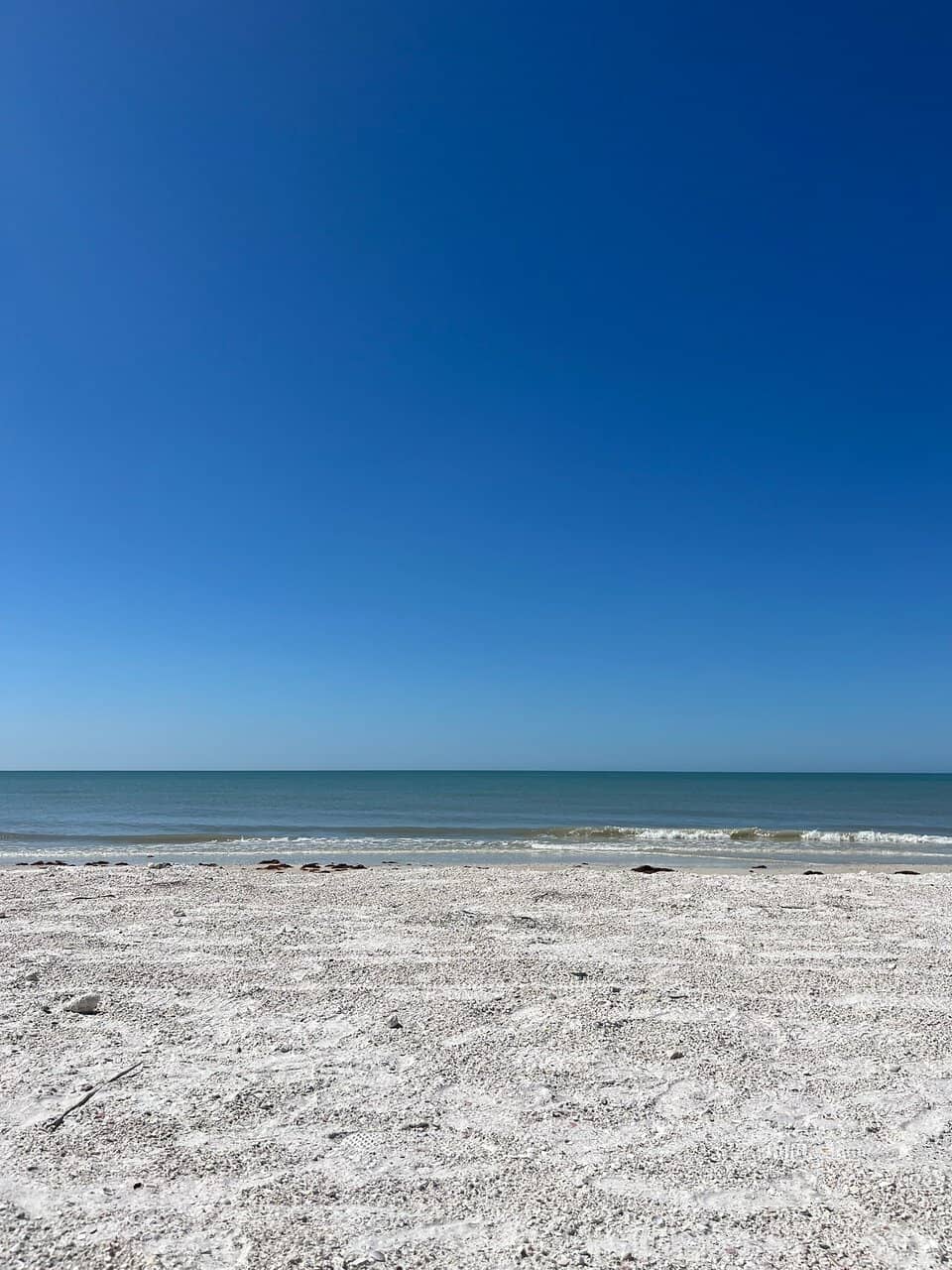 Shelling Opportunities