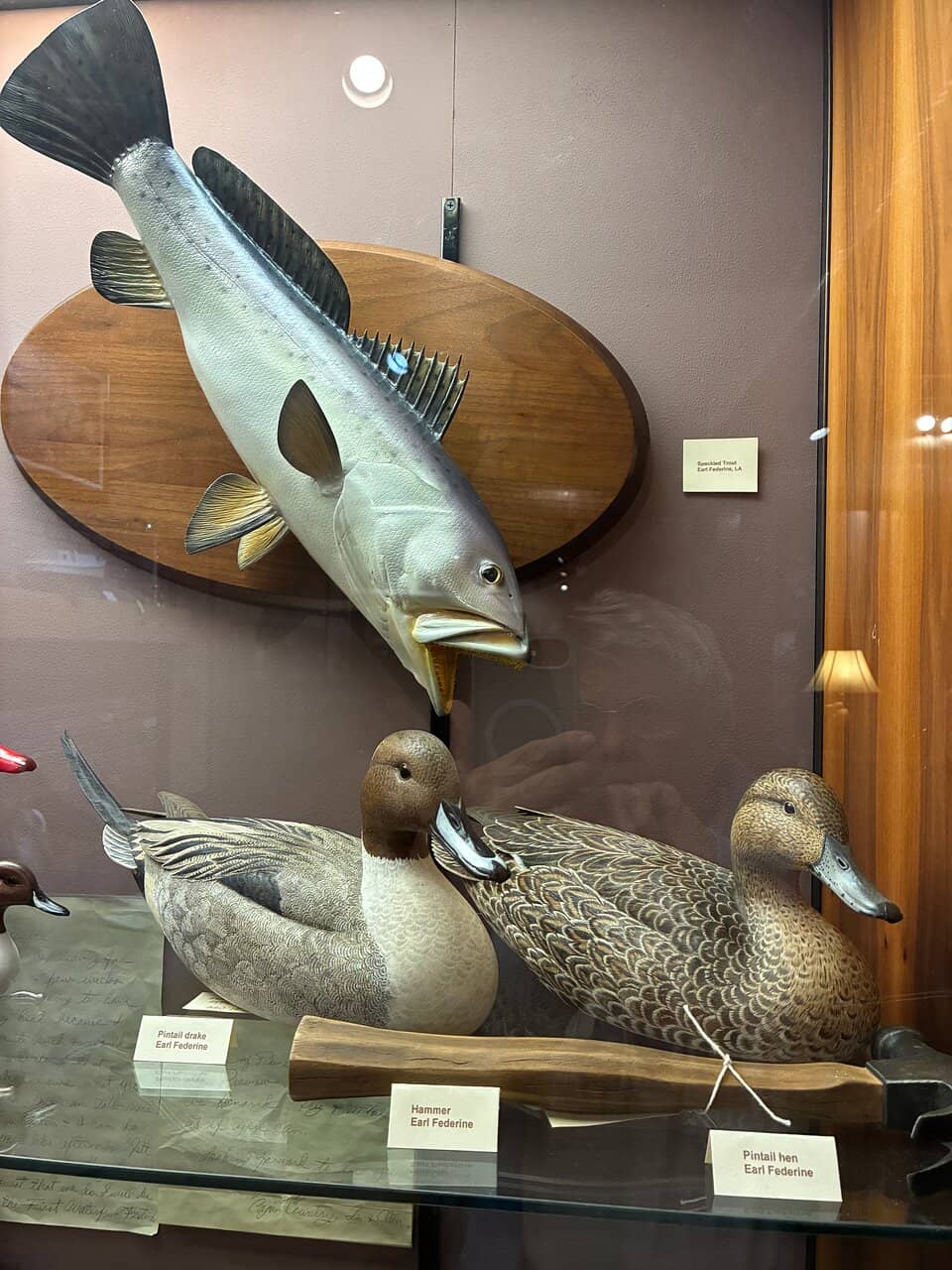 Interactive Kids' Area