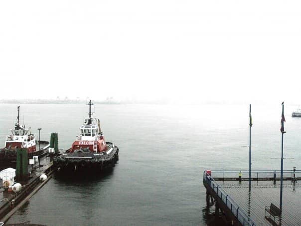 Artisan Food Vendors