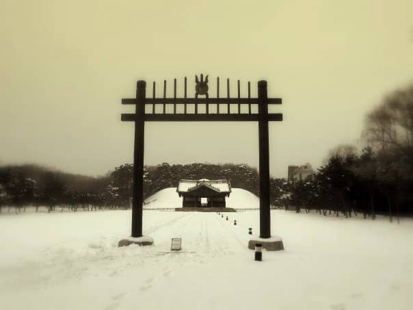 Vertical photo