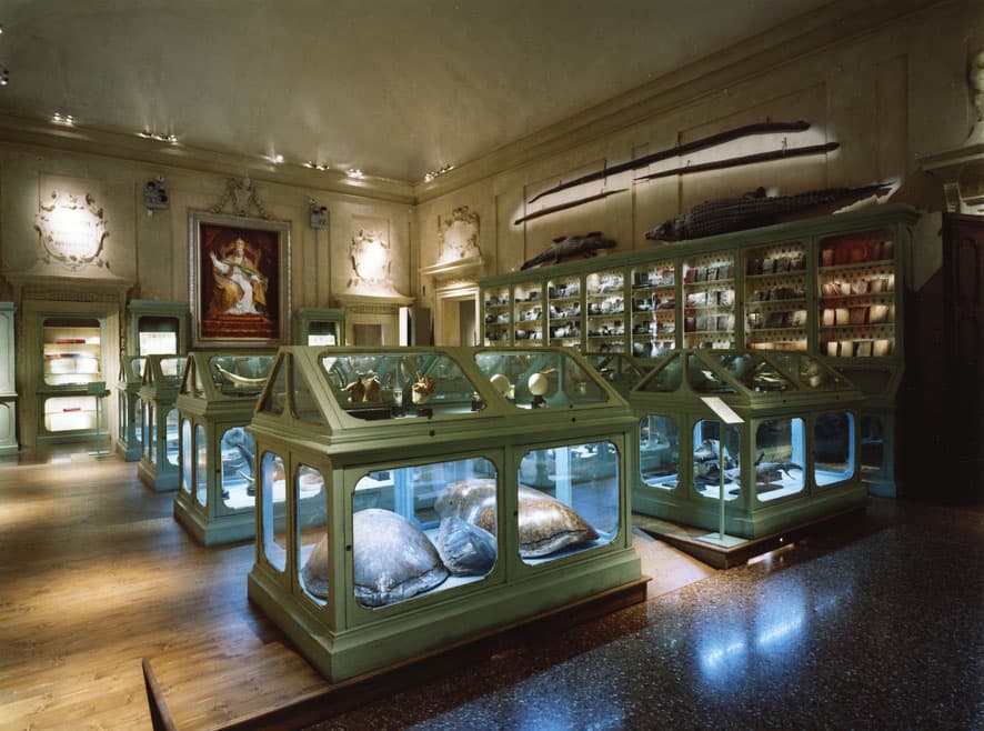 La Storia Naturale, Sala di Ulisse Aldrovandi (1522-1605)