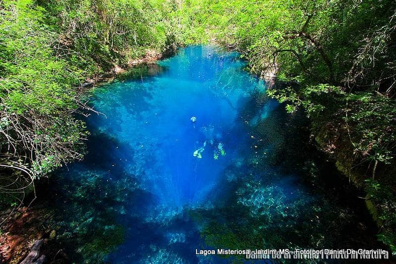 Guided Scuba Diving
