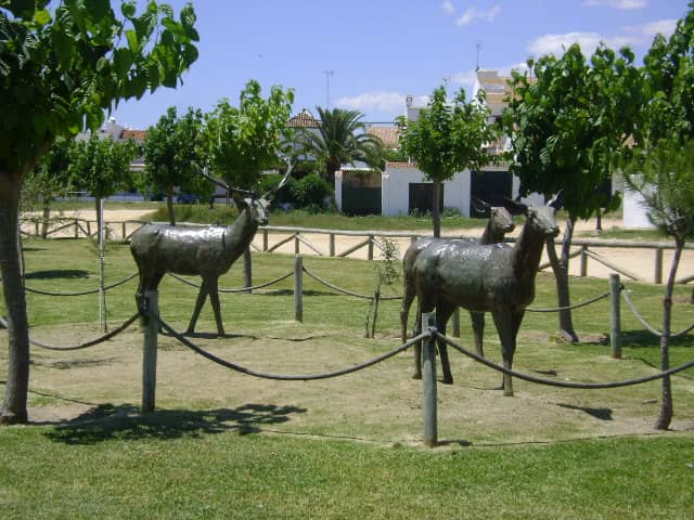 Birdwatching Hotspots