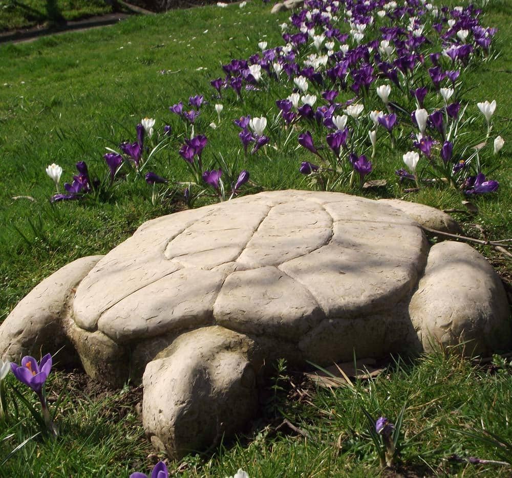 Fossils and Natural History