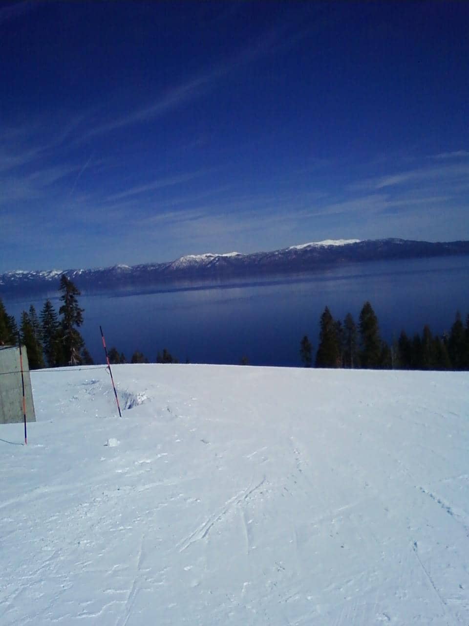 Vertical photo