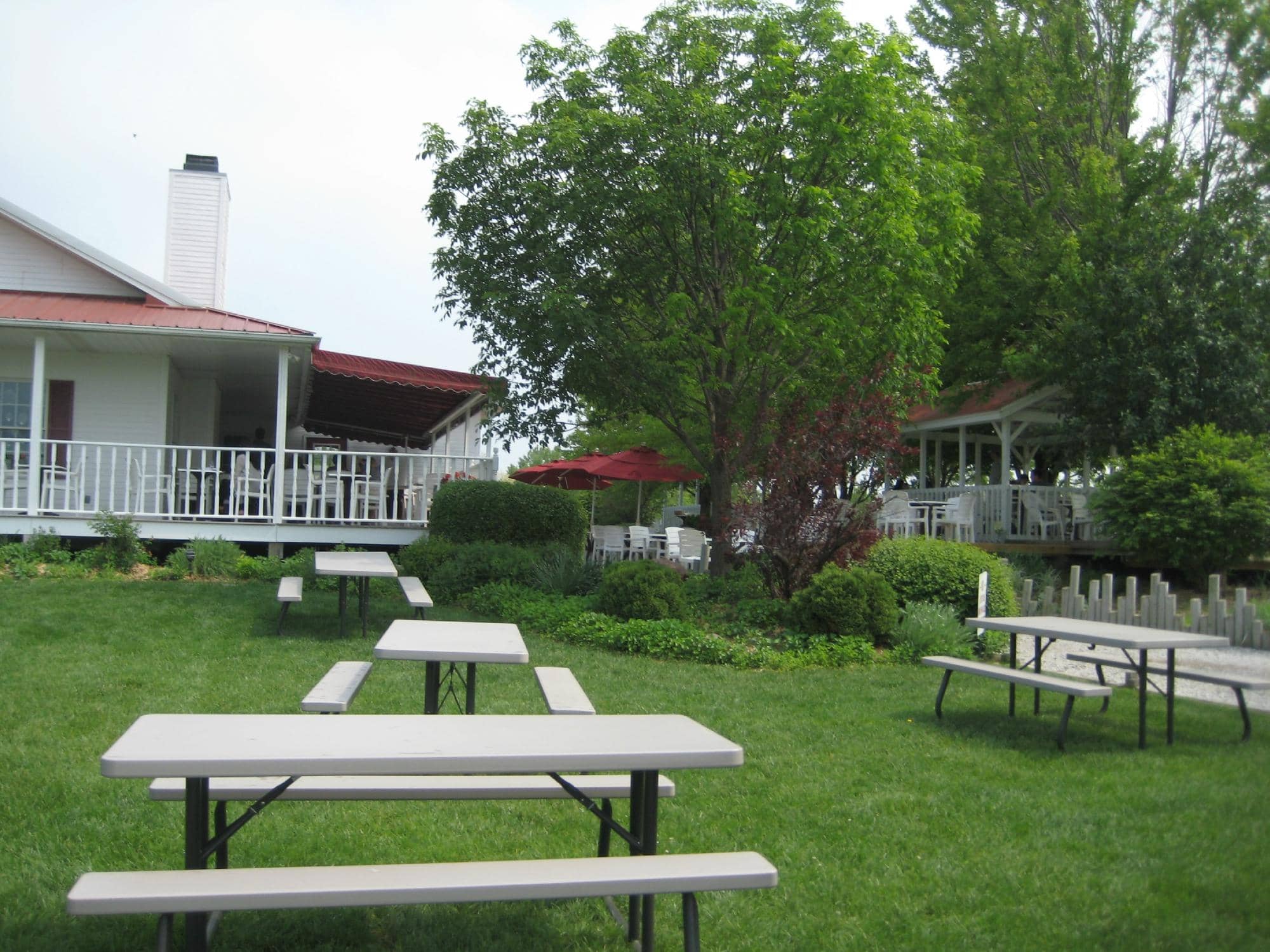 Scenic Vineyard Views