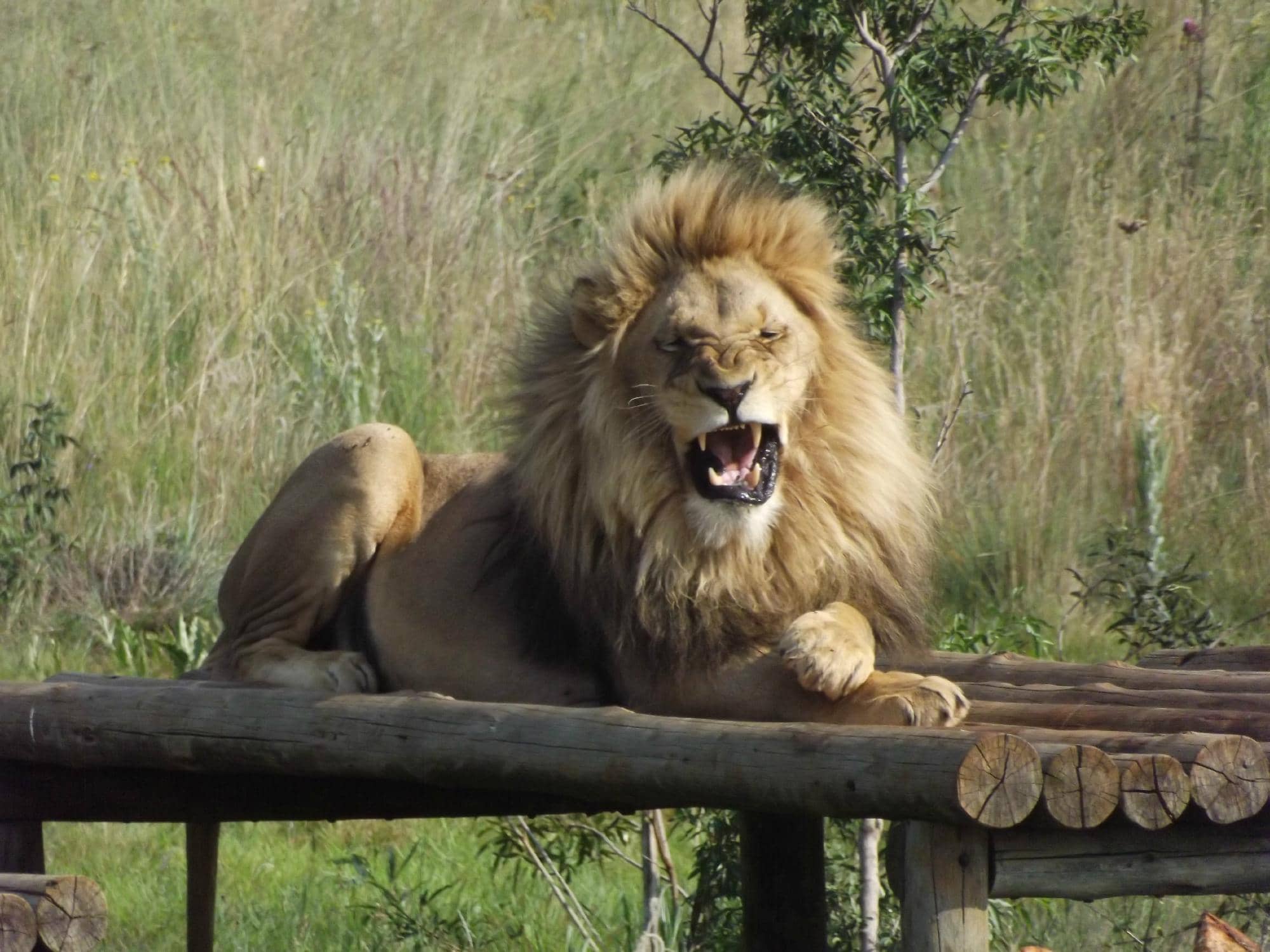 Bird Hides & Lookout Points