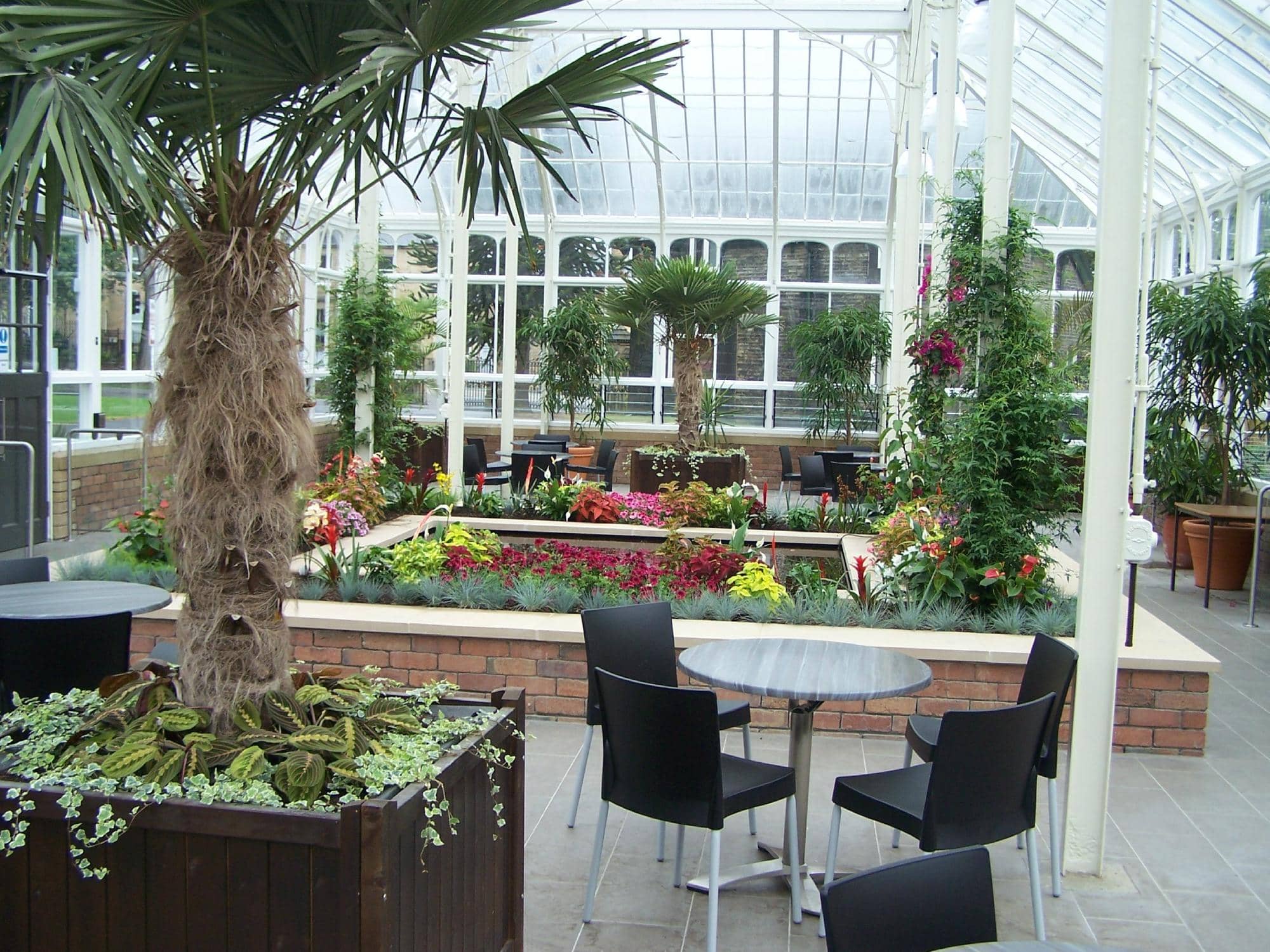 The Mini Steam Train