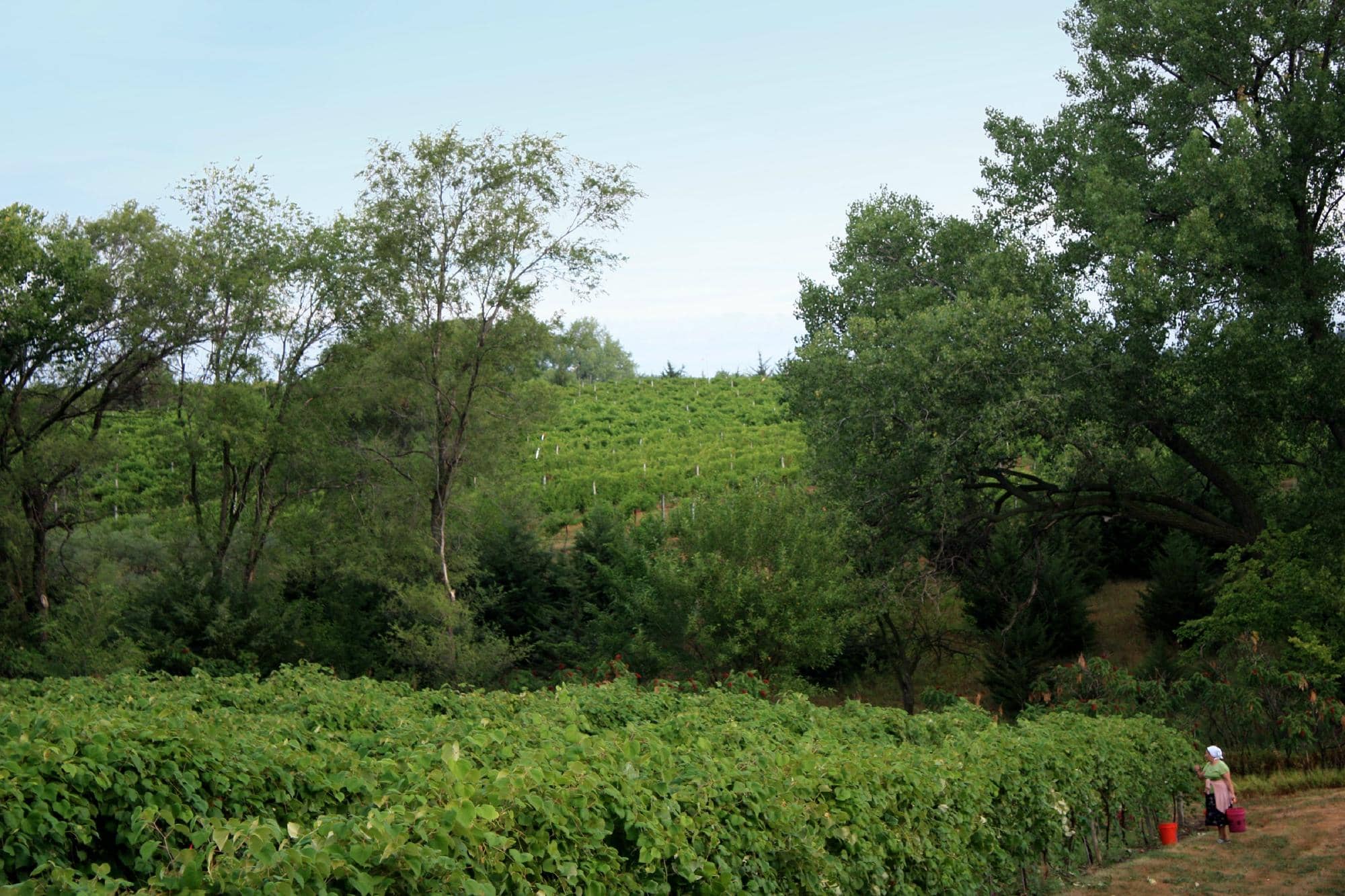 Local Artisan Gift Shop