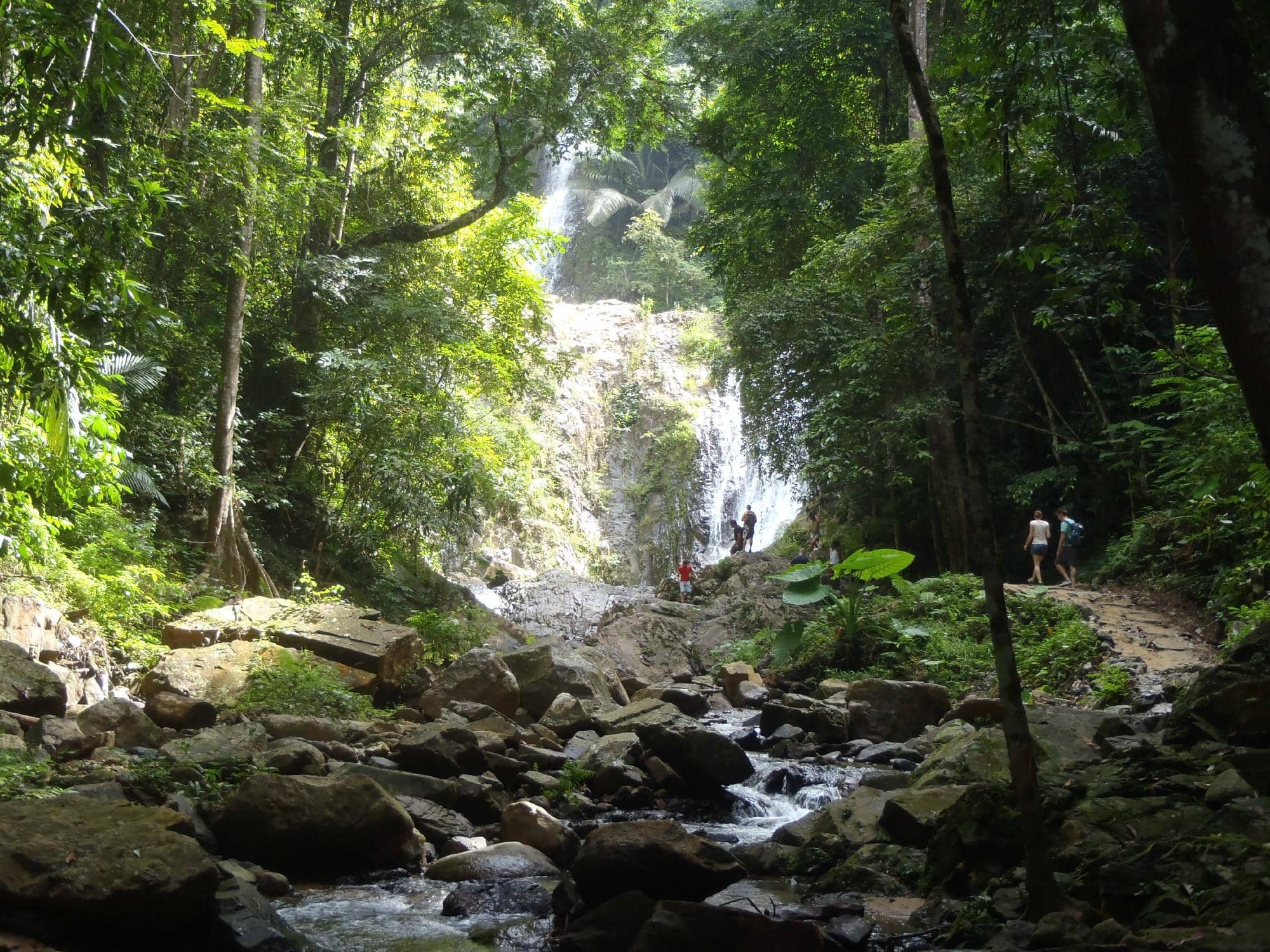 Jungle Trekking Trails