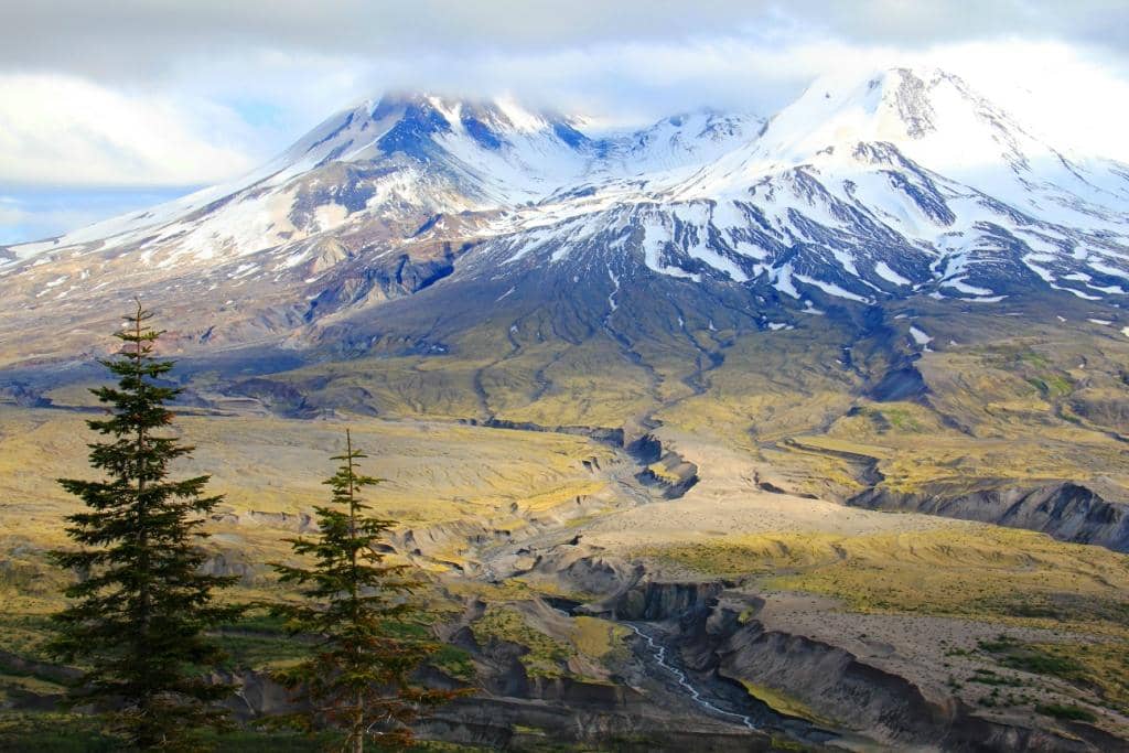 Interpretive Displays