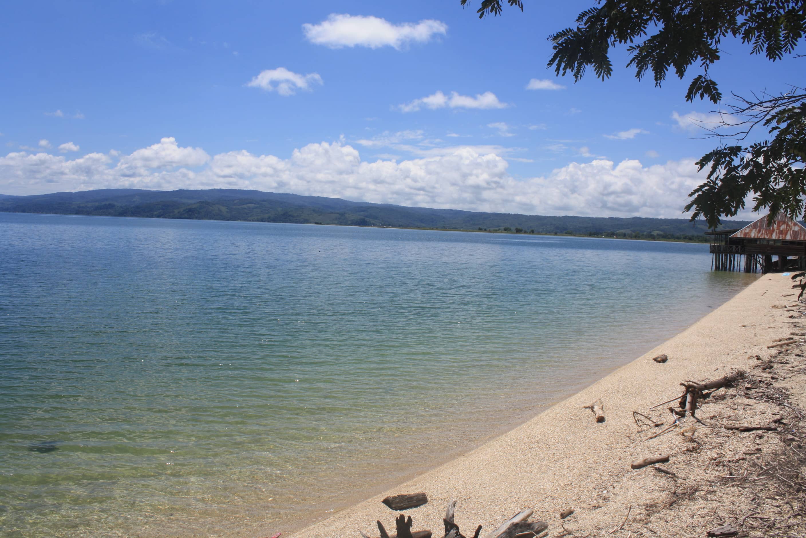 Mediterranean Delights