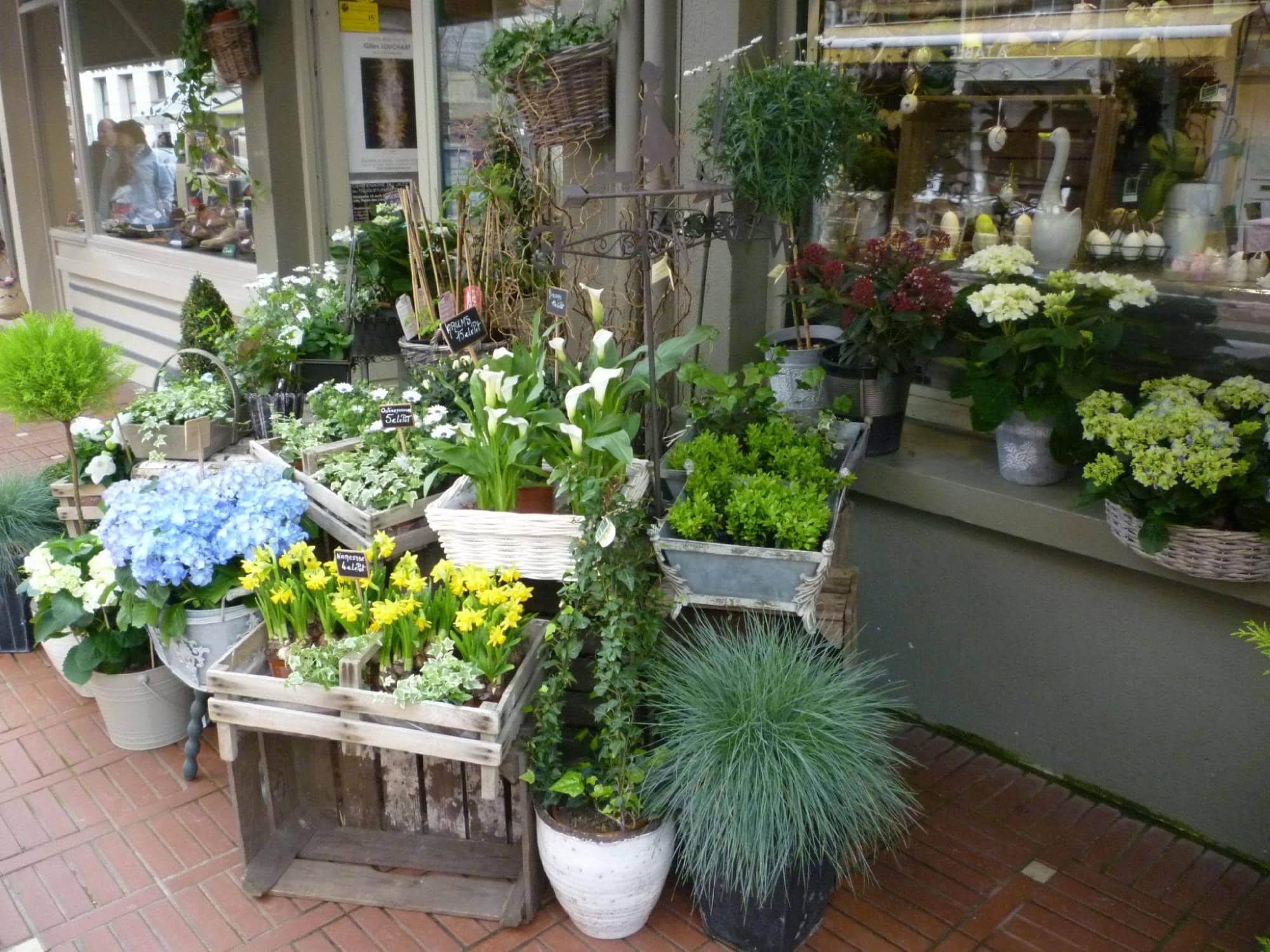 Authentic Lyonnaise Cuisine