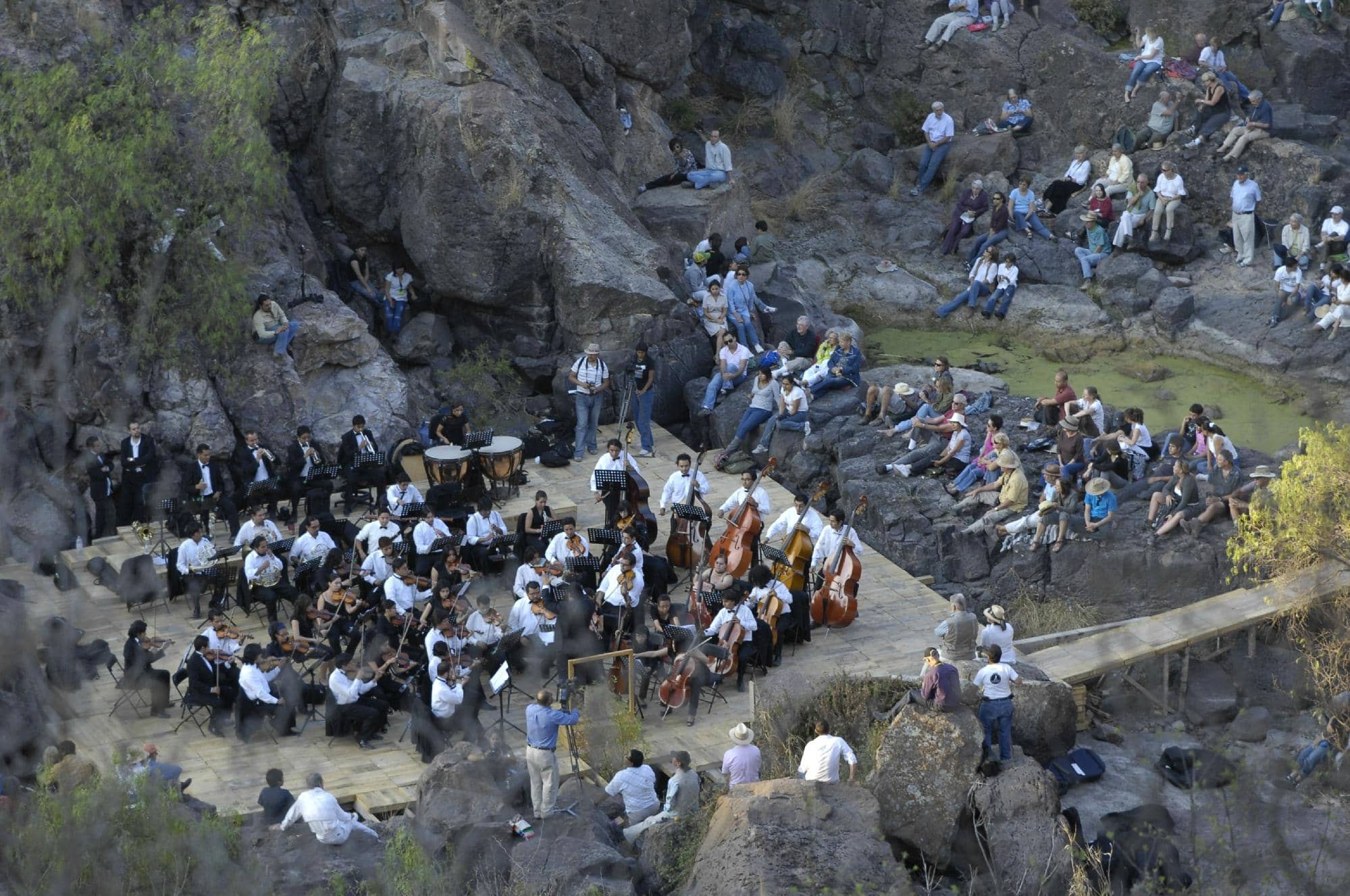 Canyon Viewpoint