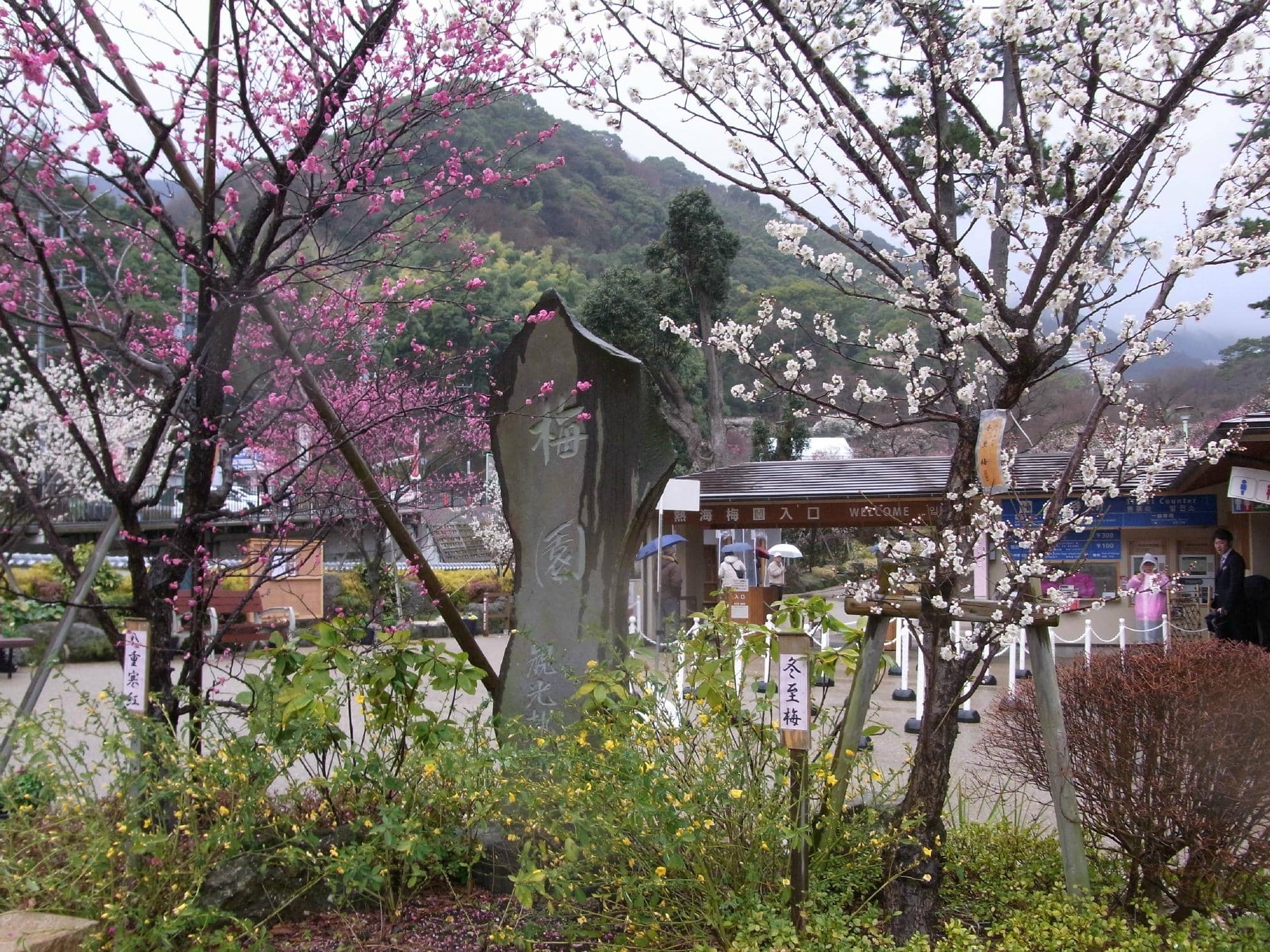Scenic Walking Trails
