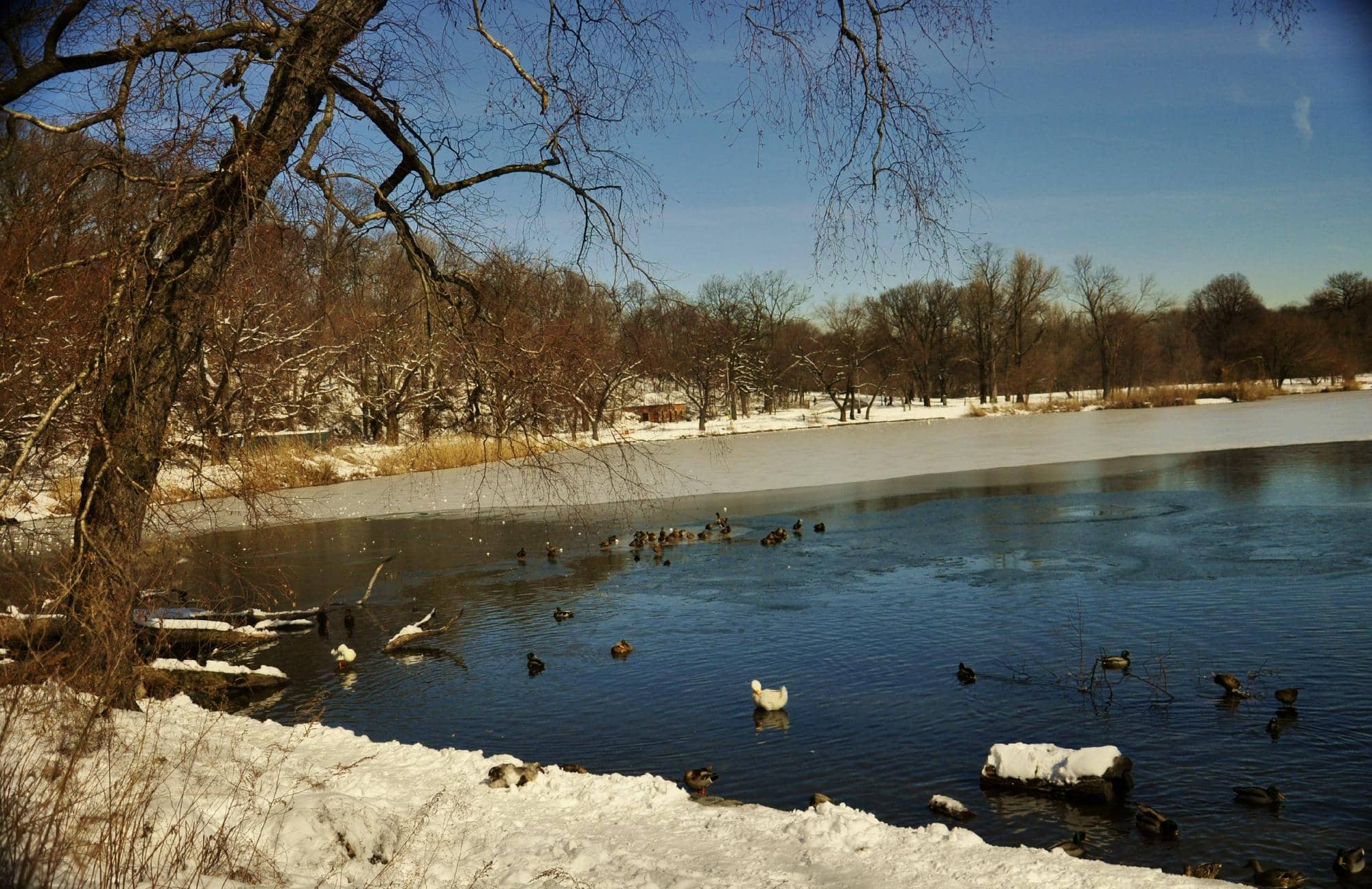 LeFrak Center at Lakeside