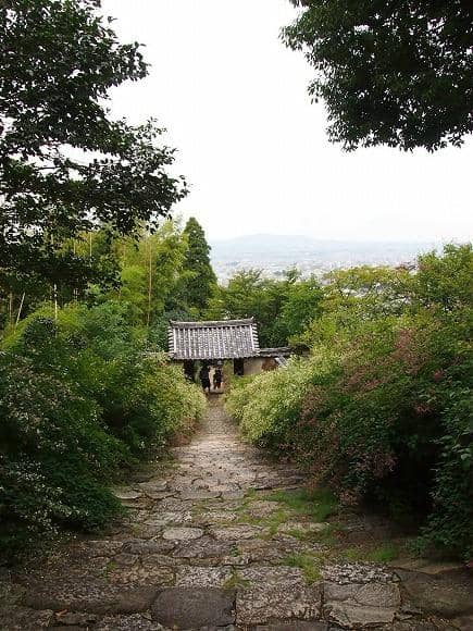 Panoramic Nara Views