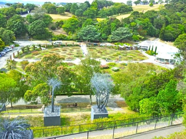 A great view of the Rose garden